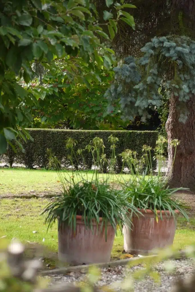 /vakantiehuis-grote-tuin-bunde/
