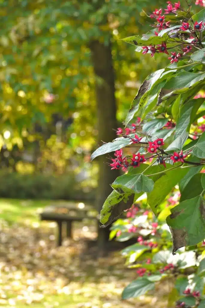 /vakantiehuis-grote-tuin-bunde/