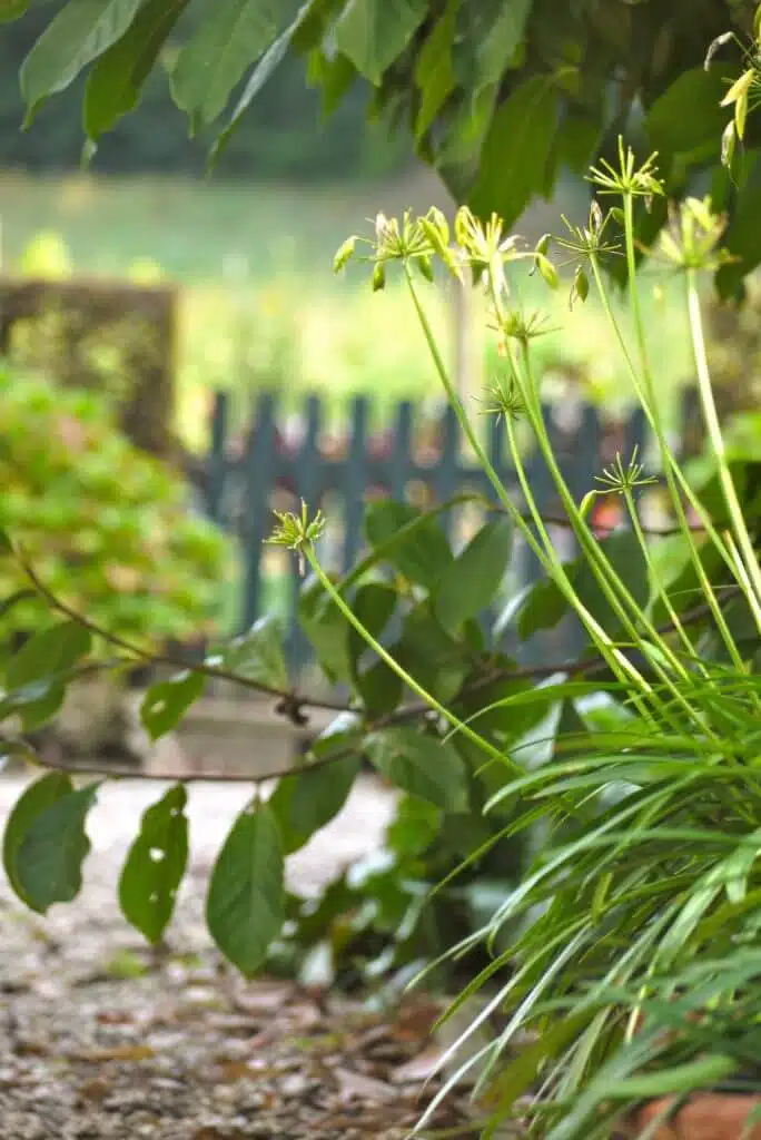 /vakantiehuis-grote-tuin-bunde