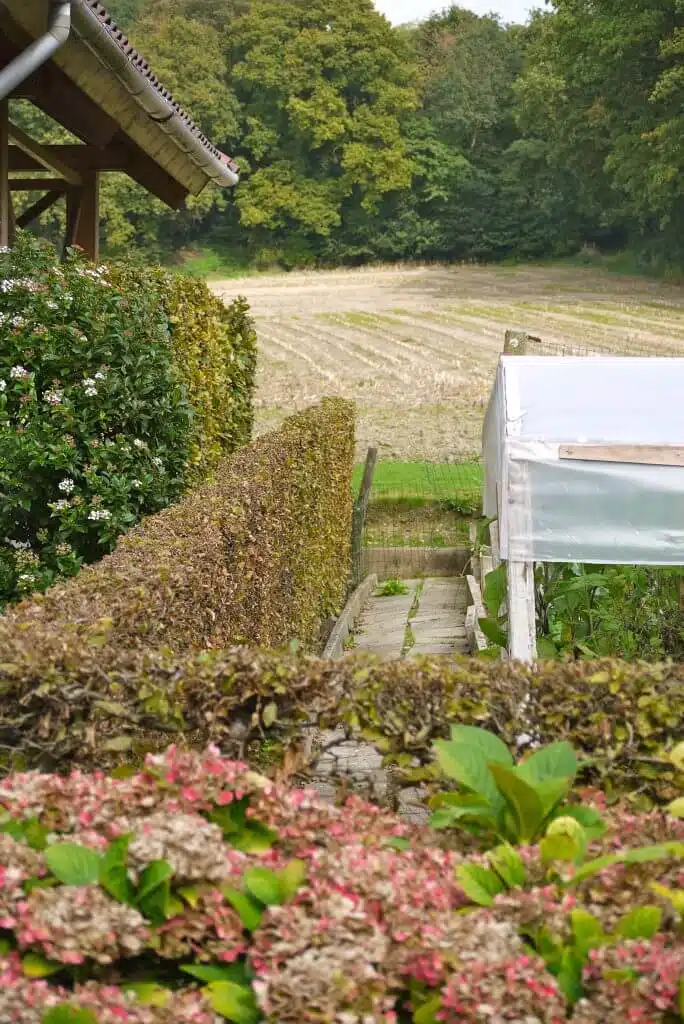 /vakantiehuis-grote-tuin-bunde/