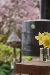 P1080591 e1428952047267