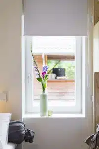 BEA 201002 1778 scaled