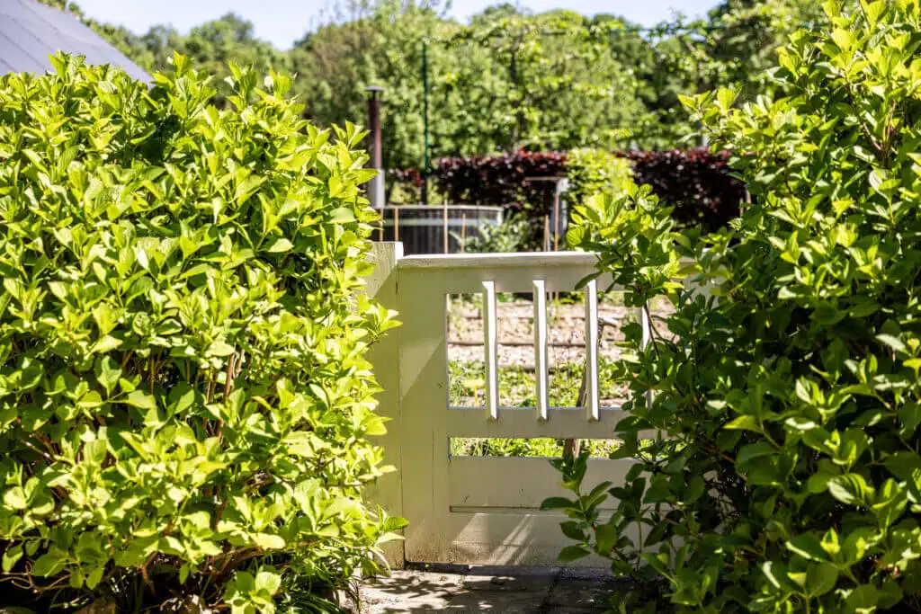 RL20250511 Beaujean Vacances Villa Verde Bunde.016