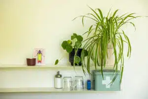 sfeer van Villa Verde